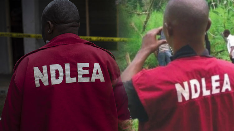 NDLEA arrests kingpin, trafficker hiding cocaine in sandal