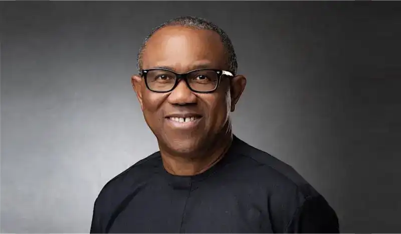 Dollar now underground currency of Nigeria’s economy – Peter Obi