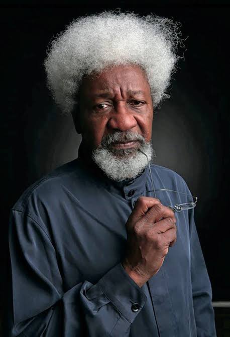 Social media has taken humanity backwards, says Soyinka