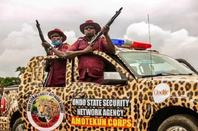 Amotekun arrests suspected cultist, burglar in Osun